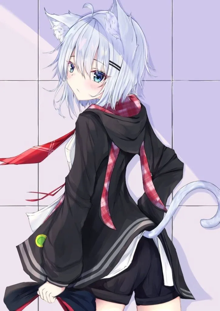 【pixiv】2019/11/18萌图-2 — 第 2 张
