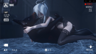 已补【MMD】整理了一些兽X合集[25P2.42G]