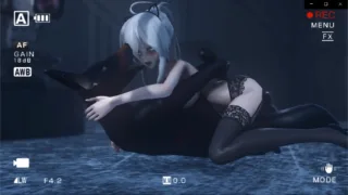 已补【MMD】整理了一些兽X合集[25P2.42G]
