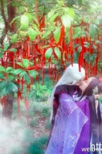 【COS】三生三世枕上书 cn:千雀