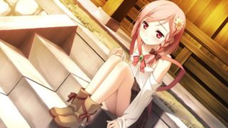 【AVG】your diary ＋H 汉化免安装版V1.1[3.83G]