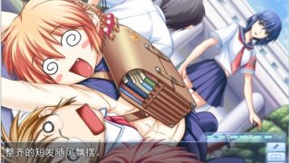 【AVG】娇蛮之吻 Full Edition 初回版 汉化免安装版[3G]