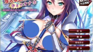 【AVG】爆乳姫騎士 繁中汉化免安装版[493M]