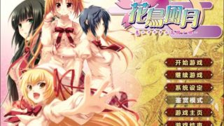 【AVG】花鸟风月 ～坠入爱河的花园之姬～汉化免安装版[2.18G]