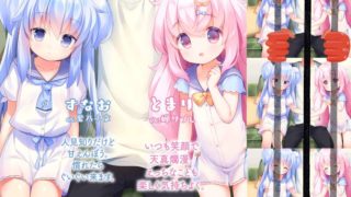 【AVG】双子洛丽塔后宫 汉化免安装版[331M]