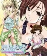 【里番】コアMIX メガ盛り オカズ【磁力】