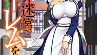 【本子】[風的工房][冰樹一世] 異世界迷宮でハーレムを 1~4 異世界迷宮裡的後宮生活 1~4