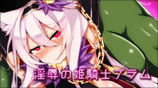 【里番】【SURVIVE MORE】の姫騎士プラム【磁力】