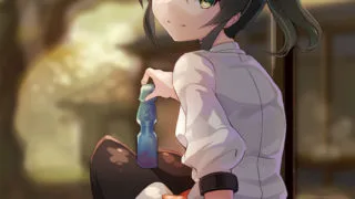 【里番】アラルガンド【磁力】