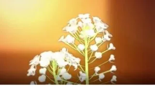 【3D/动画】[动作指导]いて!四十八手