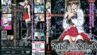 【里番】经典《黑暗圣经》步兵合集。