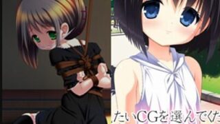 【游戏】[私立さくらんぼ小学校] 作品合集