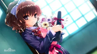 【ADV】寻找失去的未来【度盘2.54G】