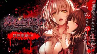 NO.17【ADV/PC/1.25G】施虐狂之血Sadistic Blood 附CG