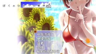 【RPG】我的暑假秘密生活2.0幻想新年贺岁版（内附秘籍截图，在背包中的道具输入）