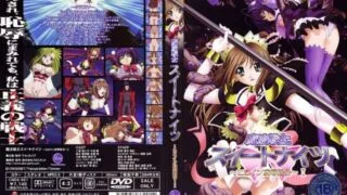 【里番】魔法战士スイートナイツ～ヒロイン凌辱指令～【磁力】