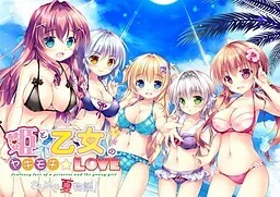 NO.45【ADV/PC/2.24G】姫と乙女のヤキモチＬＯＶＥ -きらめき夏物語！ 新作附存档