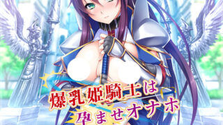 【拔作ADV/汉化】绝对忠诚的爆汝姬骑士飞机杯！精修汉化版+全CG存档+特典CG【600M】