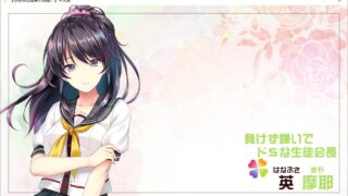NO.40【ADV/汉化/PC/2.8G】你喜欢的是哪一个我？全CG存档