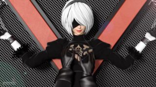【3D同人/全动态/CV/中文】【夜桜字幕组】尼尔：机械纪元2B和9S的研究活动【253M】