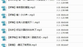 【ASMR合集/高质量/稀缺】bitchery音频