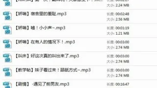 【ASMR合集/高质量/稀缺】bitchery音频
