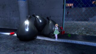 【PC/中文/日系SLG/全动态CG】「​小小的生命」v1.0s