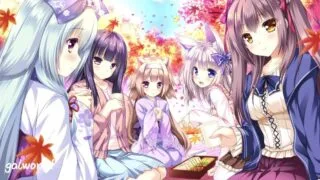 【PC/汉化/ADV】缘染此叶 化作恋红