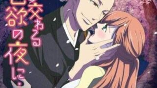 【番剧】与僧侣交合的色欲之夜（中字/1080p/骑兵/表里番）