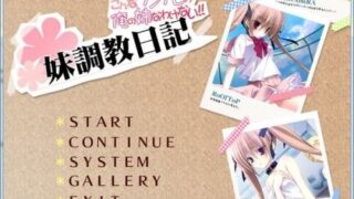 【ADV】妹调教日记（本体+FD)