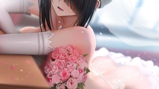 【本子】[合集][无修正][ヒラニ (ぎんハハ)]汉化作品整合