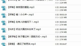 【ASMR】【中文音声】Bitery合集~40多倍的快乐