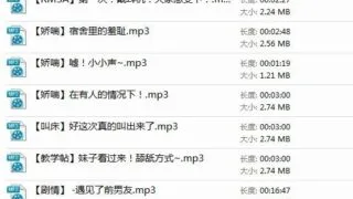 【ASMR】【中文音声】Bitery合集~40多倍的快乐