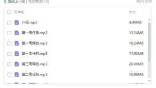 【ASMR】七重 我又回来了 还是寸止系列 为期一月的挑战 （试过很爽）【96M】