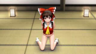【3D】博丽灵梦二连【度盘/1.08G】