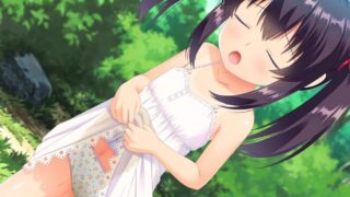 【ADV/PC】田舎でいたずら ダウ 【1G/度盘】