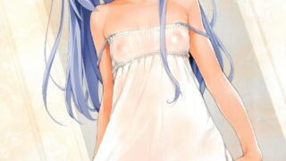 【合集】偽MIDI泥の会(石恵)本子合集【度盘/1.01G】