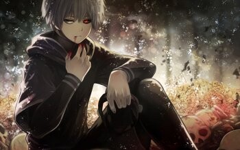 【番剧】东京喰种/东京食尸鬼【度盘/720P】 — 第 2 张