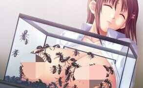 【CG】[CYCLET][20120706] 昆蟲Ｏ察+螽[896M]