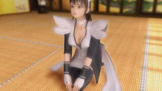 【3D】[@OZ]いろは～散りぬるを～