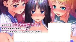 【ADV】田辺組○○○レイパー系列4部合集【度盘/1.46g】