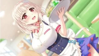【AVD】evoLL5月新作「Hではじめた絶品バーガー」【度盘/磁力/464MB/已补】