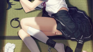 【AVG/PC】夏ノ鎖【度盘/生肉/824M】