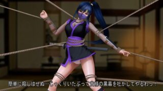 【3D】[@OZ]美少女くのいち 楓（提取动画）【度盘/296M】