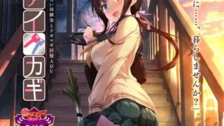 【ADV/汉化】爱之钥～和汐栞的甜园夏日 アイカギ【1.4G】【全CV】