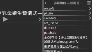 【补丁】邪娠倡馆~银乱巨汝母娘生贄仪式 吉里吉里2补丁【度盘/59B】