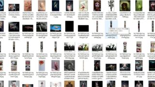 【杂图】乱七八糟的图和小猫吃奶（76M度盘）