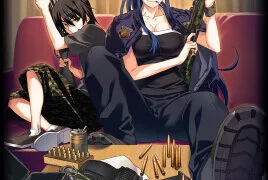 【番剧】灰色的迷宫 BD【度盘/918 MB】
