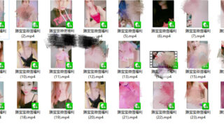 【三次元】主播路宝宝老板微信福利 [24V 400MB/度盘云]