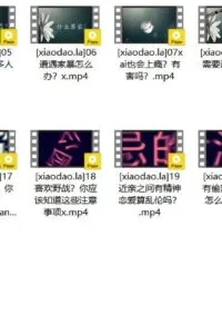 【教程】李银河性教学【度盘/4G】